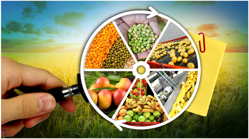 agro-processing-cluster-market-research-archives-global-market-database