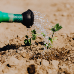 Irrigation System- Global Market Database